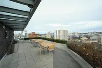 View 40