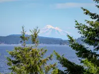 View 36