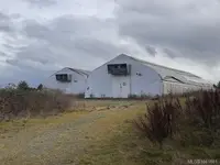 View 41
