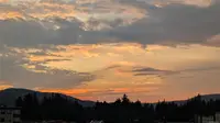 View 55