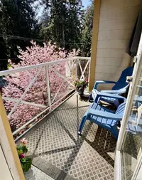 View 30