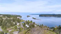 View 44