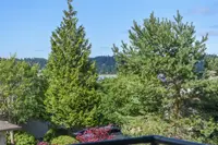View 17