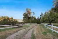 View 42