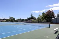 View 41