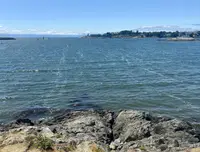 View 34