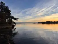 View 31