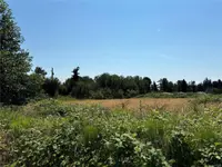 View 23