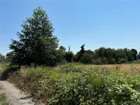 View 17