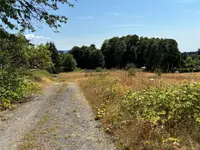 View 18