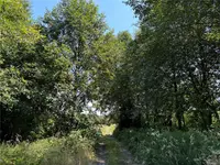 View 19