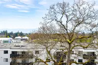 View 18