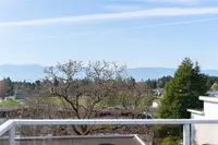 View 40