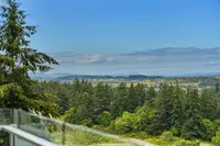 View 71