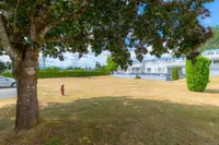 View 32