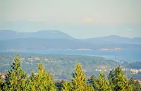 View 39