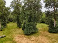View 30