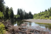 View 5