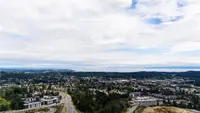 View 59