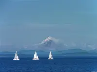 View 16