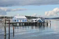 View 15