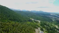 View 4
