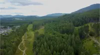 View 6