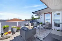 View 51