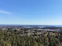 View 31