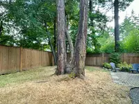 View 30
