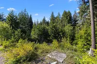 View 21