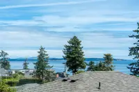 View 49