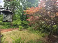 View 27