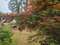 View 28