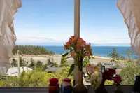 View 14