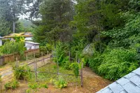 View 29