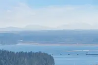 View 61