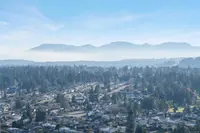 View 65