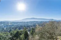 View 51
