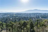 View 54