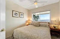 View 44