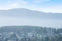 View 64