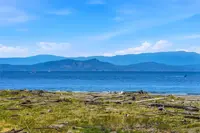 View 44