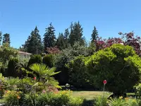 View 38