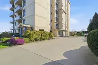 View 50