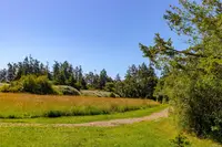View 33