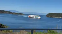 View 65