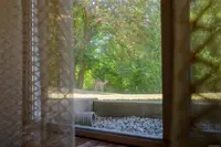 View 68
