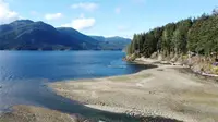 View 36