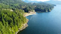 View 41